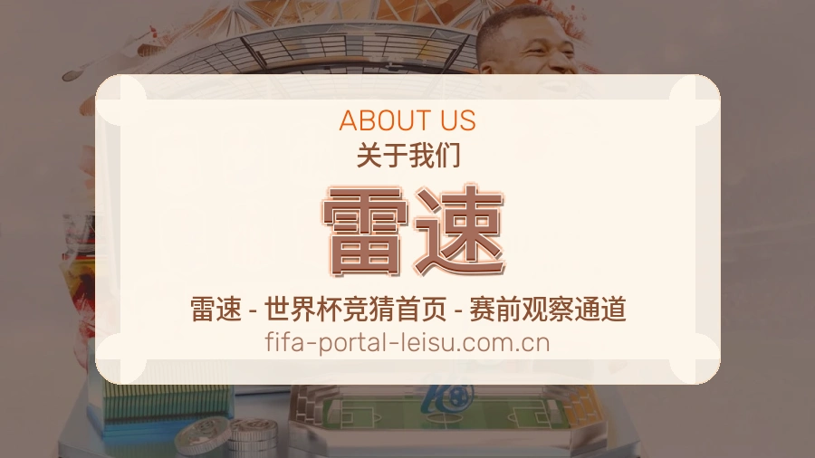 雷速发展说明